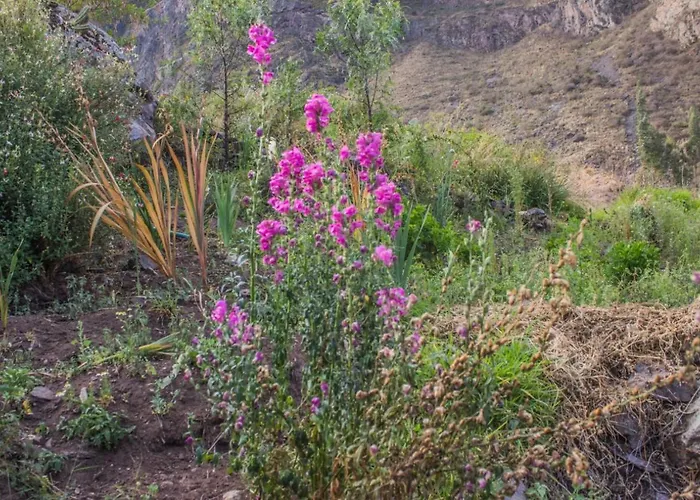 Lodge Secret Valley House Cusco
